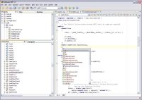 NetBeans C/C++ Development Pack